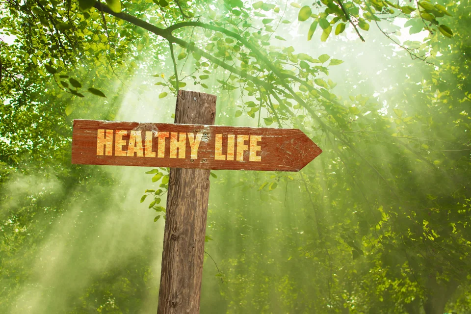 wellness journey